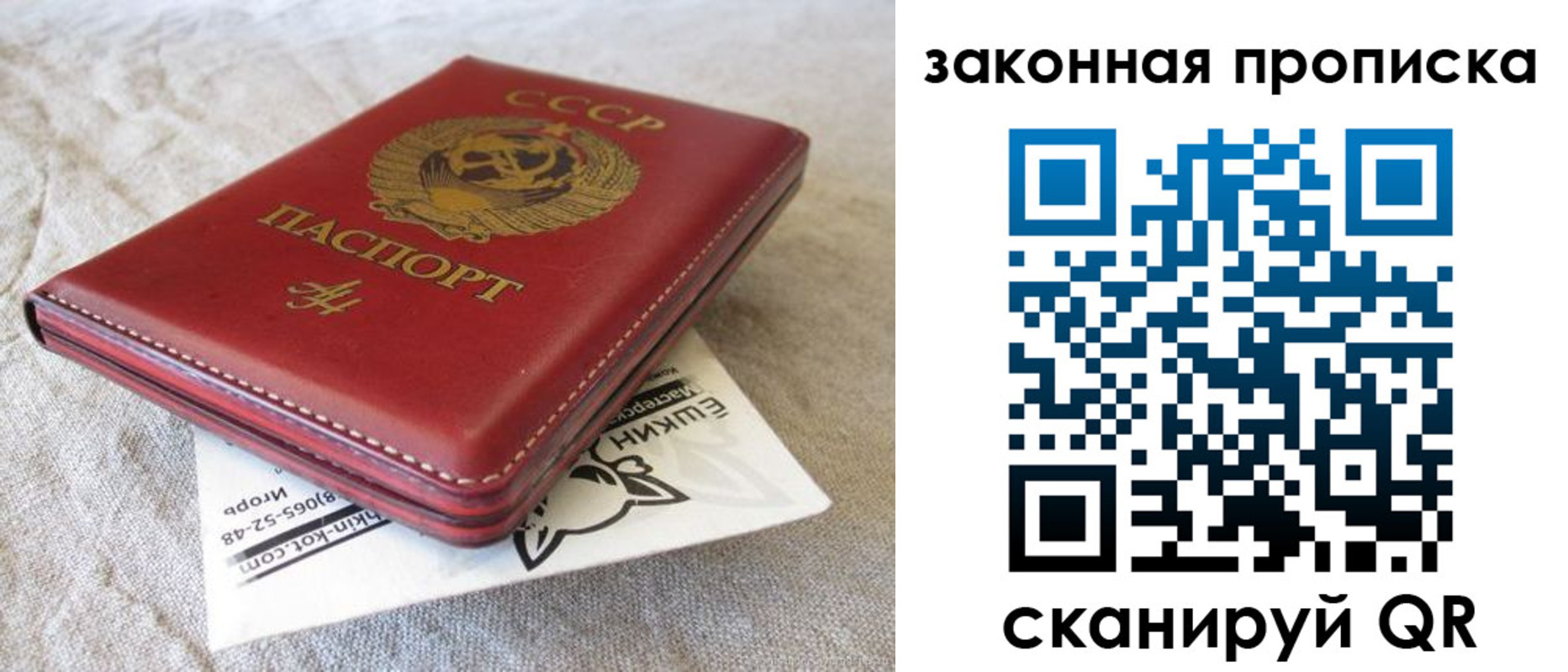временная регистрация собственник в Елизово
